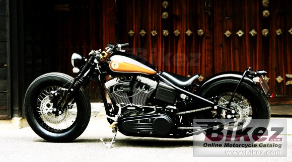 2012 Road Hopper 9i photo